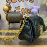 Louis Vuitton Pico GO-14 M23625 Black